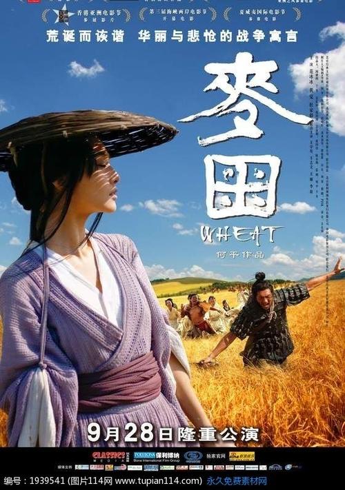 自考学位证必须考英语吗